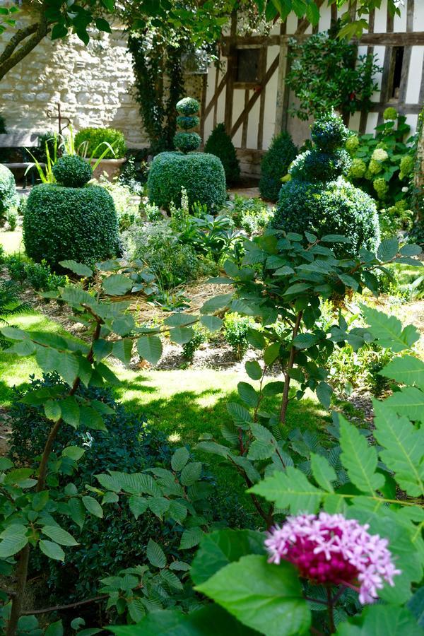 Le Jardin De La Cathedrale Bed & Breakfast Troyes Luaran gambar